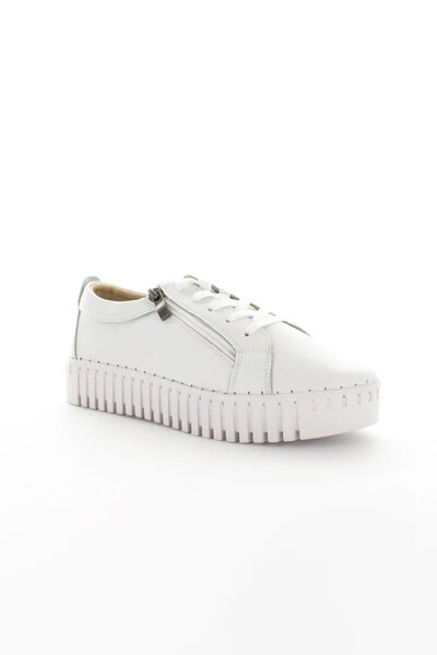 Just Bee Climber Sneaker-new-Preen