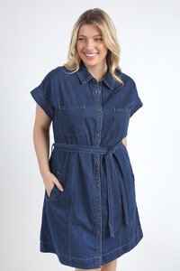 Elm Everleigh Denim Dress