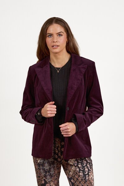 Vassalli Shaped Pinwale Cord Blazer-new-Preen