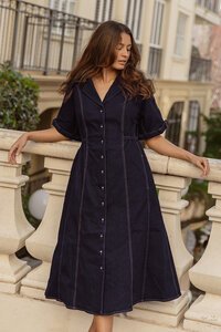 Betty Basics Dana Denim Dress