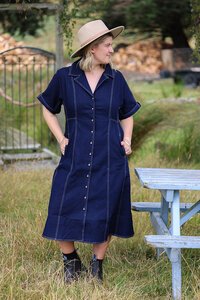 Betty Basics Dana Denim Dress